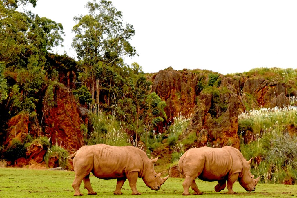 Parque de la Naturaleza de Cabárceno